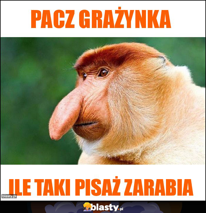 Pacz Grażynka