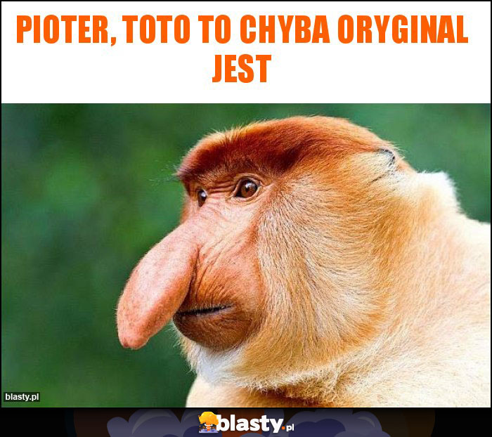 Pioter, toto to chyba oryginal jest