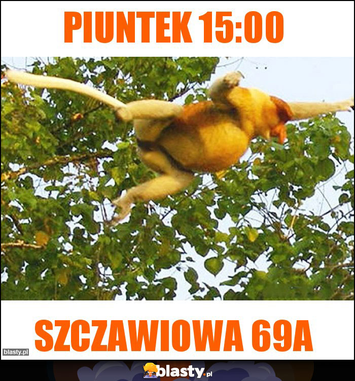 Piuntek 15:00