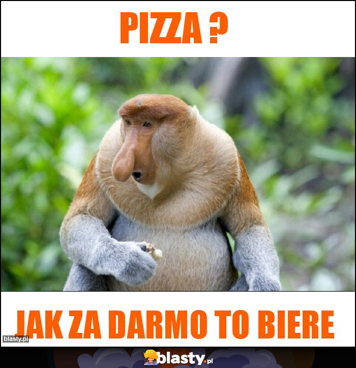 Pizza ?