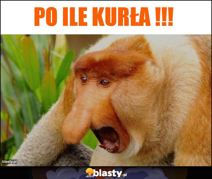 Po ile kurła !!!