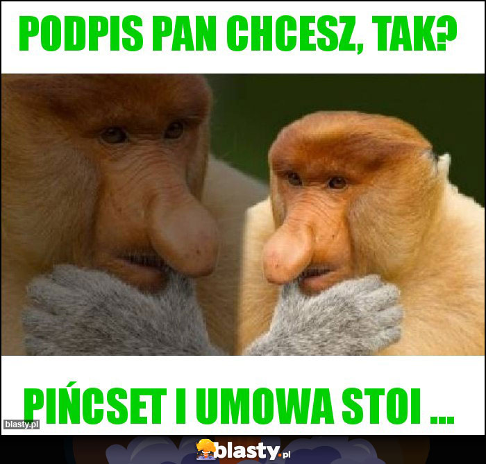 Podpis Pan chcesz, tak?