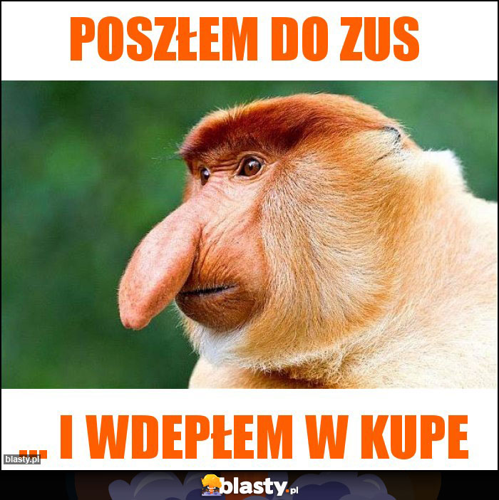 Poszłem do zus