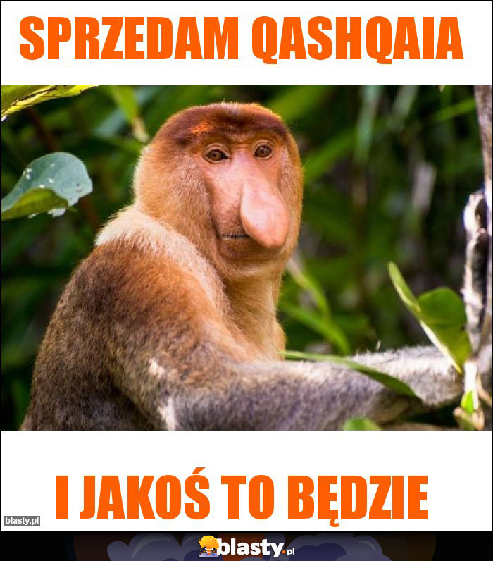 SPRZEDAM QASHQAIA