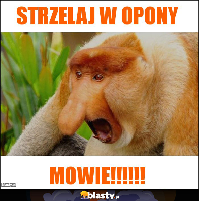 Strzelaj w opony