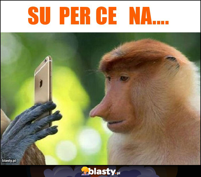 Su  per Ce   na....