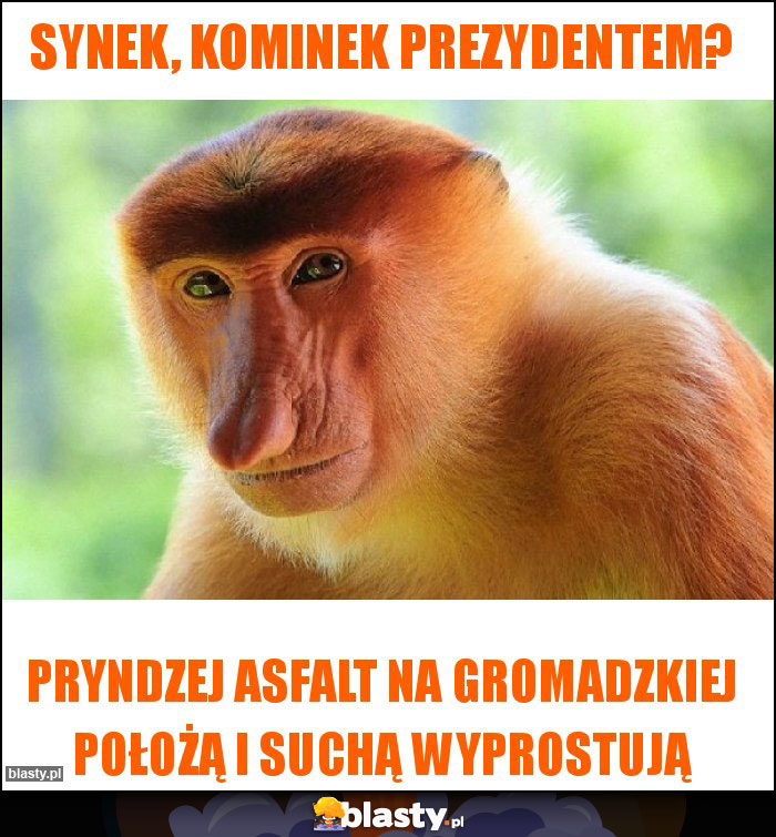 Synek, Kominek prezydentem?