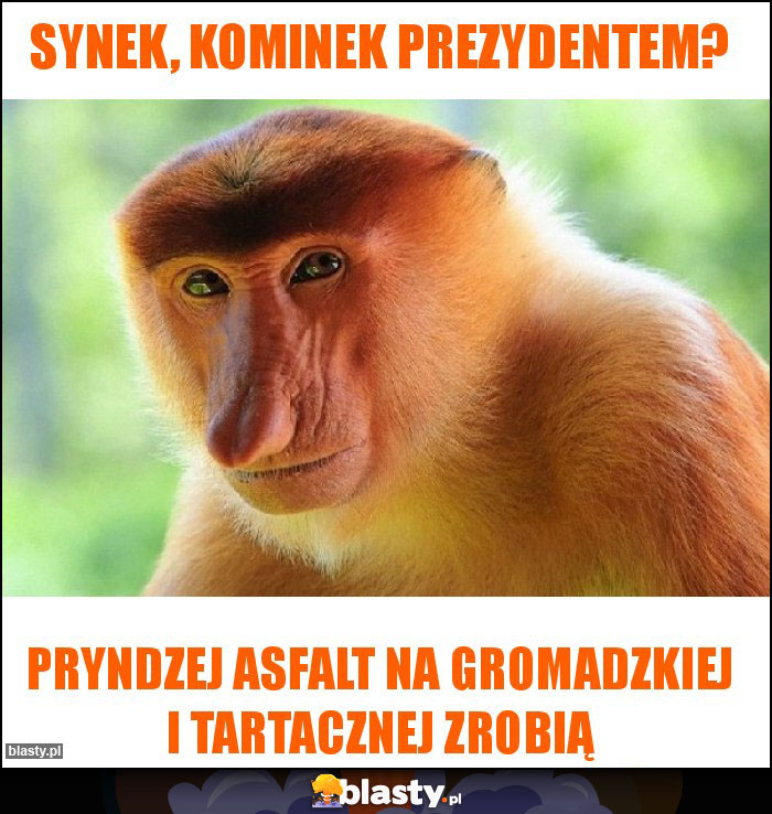 Synek, Kominek prezydentem?