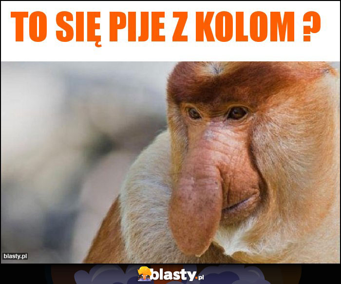 To się pije z kolom ?