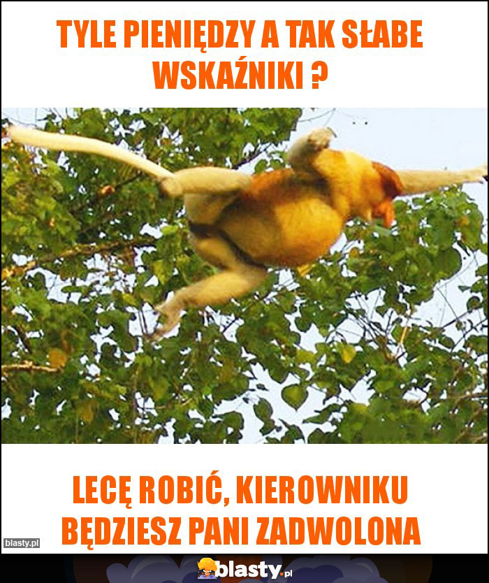 Tyle pieniędzy a tak słabe wskaźniki ?