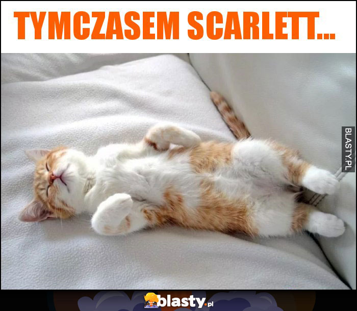 Tymczasem scarlett...