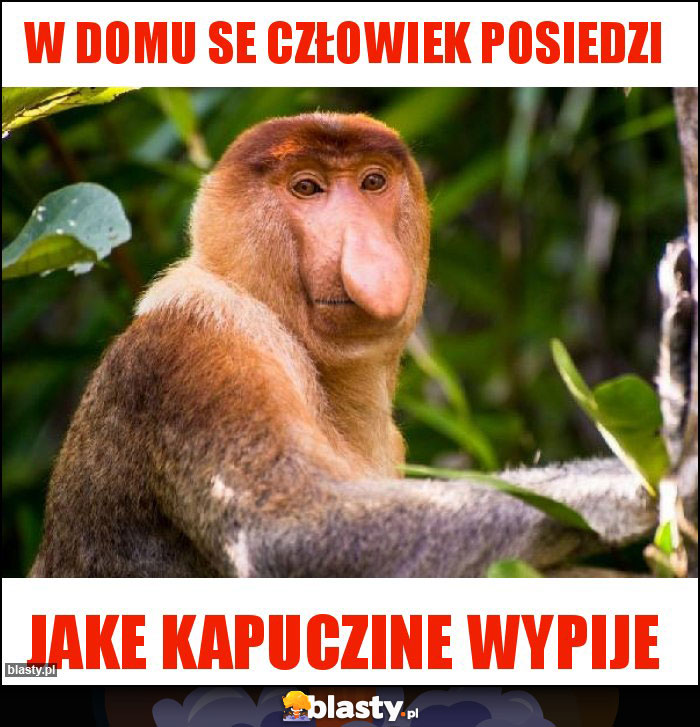 W domu se człowiek posiedzi