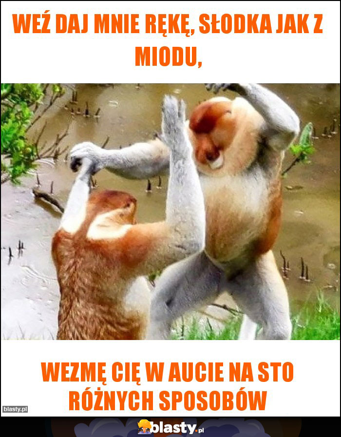 Weź daj mnie rękę, słodka jak z miodu,