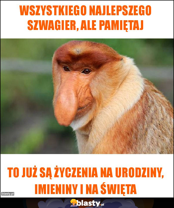 Wszystkiego najlepszego Szwagier, ale pamiętaj