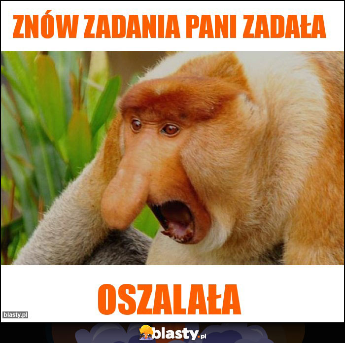 Znów zadania Pani zadała