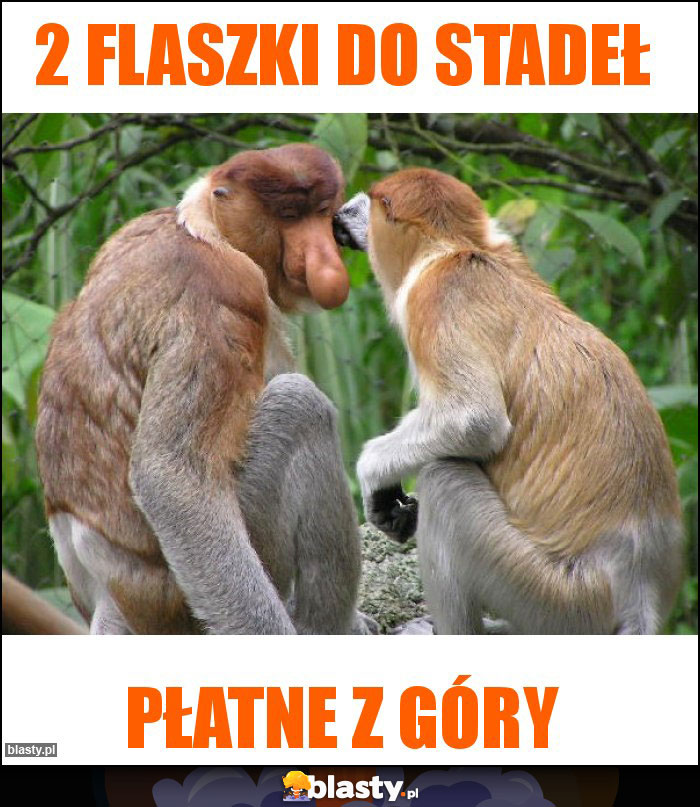 2 flaszki do stadeł