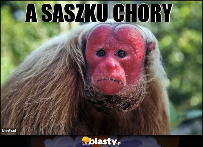 A Saszku chory