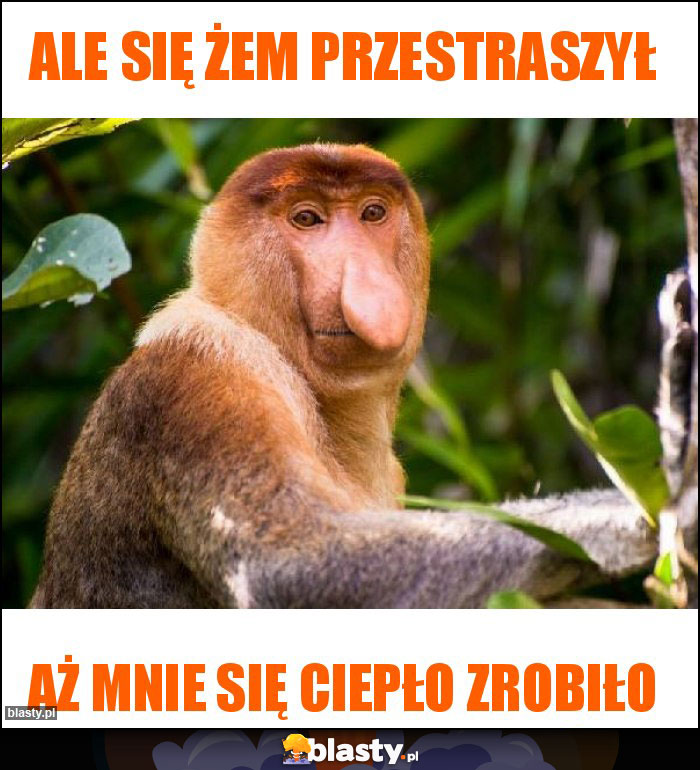 Ale się żem przestraszył