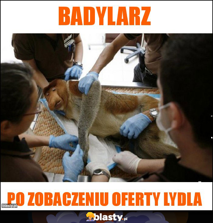 BADYLARZ