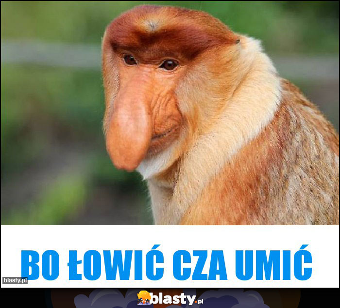 Bo łowić cza umić