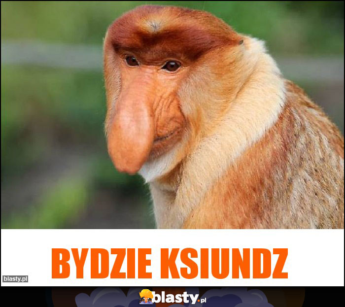 Bydzie ksiundz