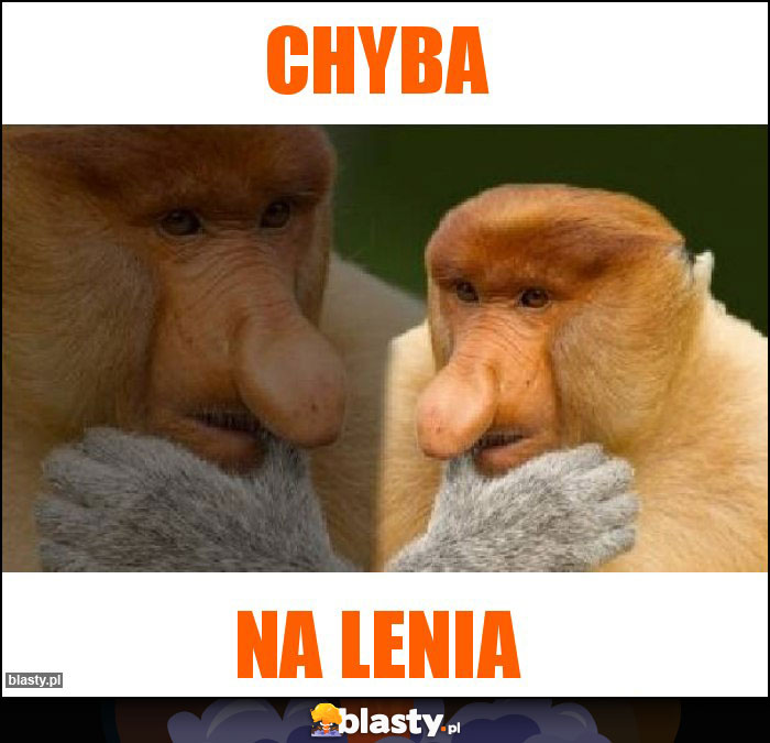 Chyba