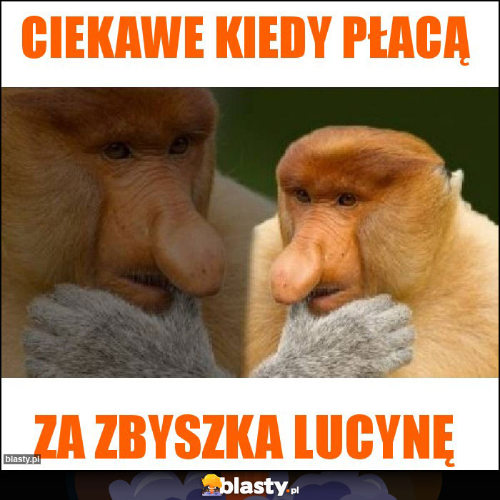 Ciekawe kiedy płacą