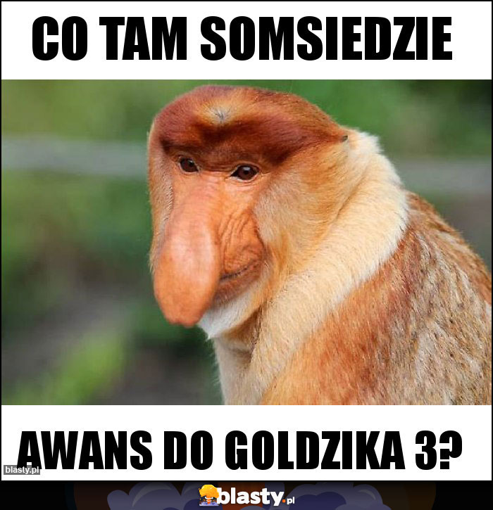 Co tam somsiedzie