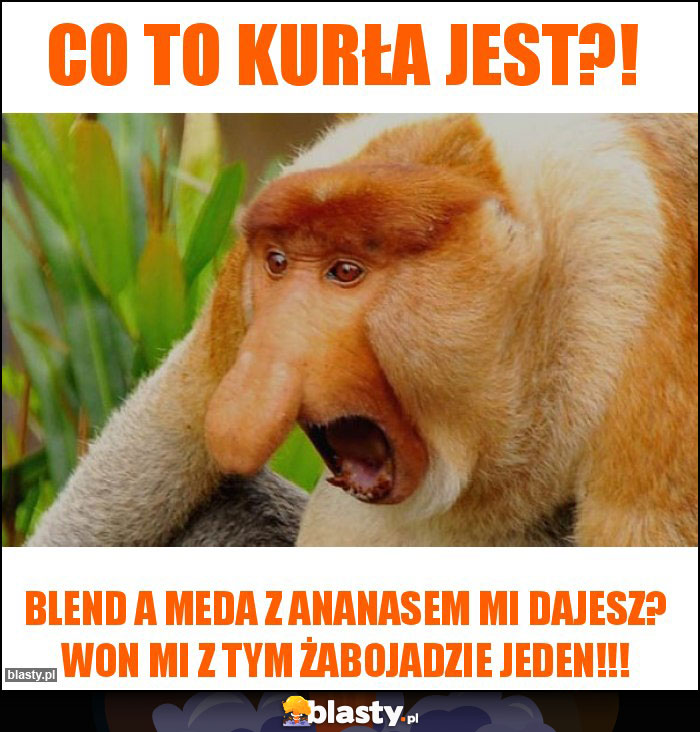 co to kurła jest?!