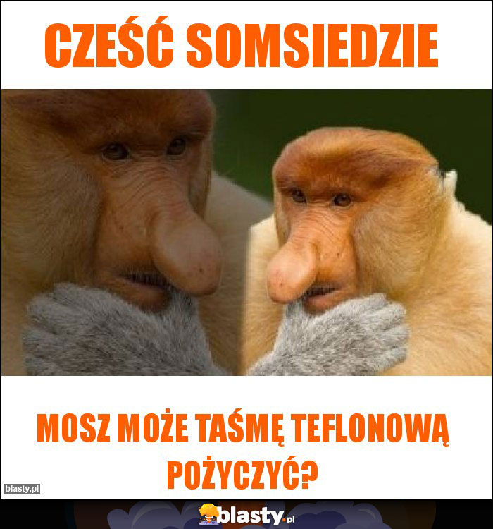 Cześć somsiedzie