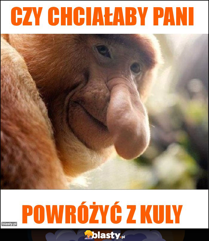 Czy chciałaby pani