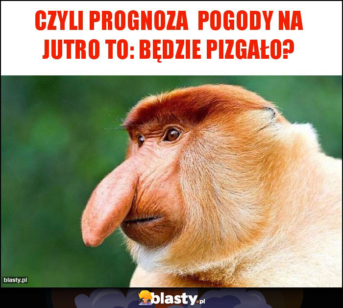 Czyli prognoza  pogody na jutro to: Będzie pizgało?