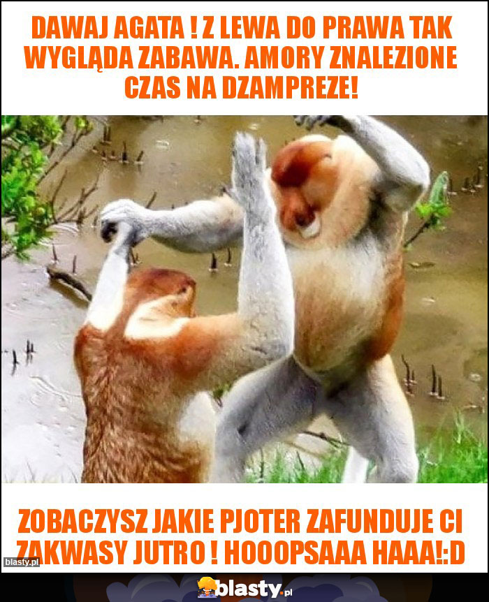 Dawaj Agata ! Z lewa do prawa tak wygląda zabawa. Amory znalezione czas na dzampreze!