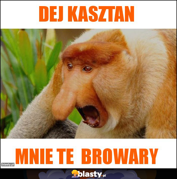 Dej kasztan