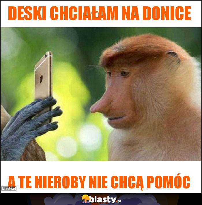 Deski chciałam na donice