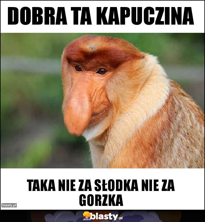 DOBRA TA KAPUCZINA