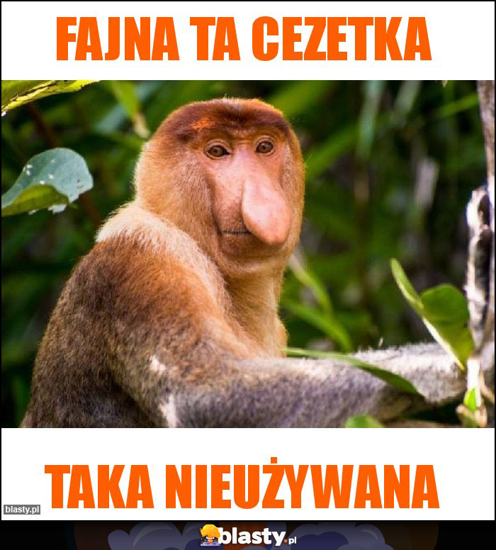 Fajna ta CeZetka