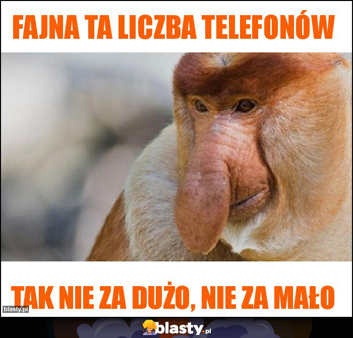 Fajna ta liczba telefonów