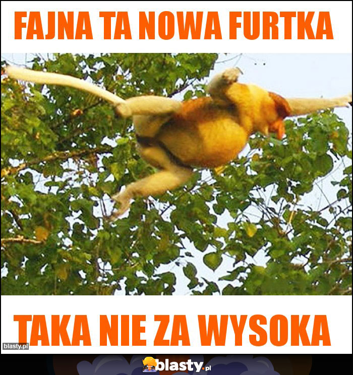 Fajna ta nowa furtka