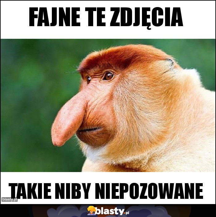 Fajne te zdjęcia