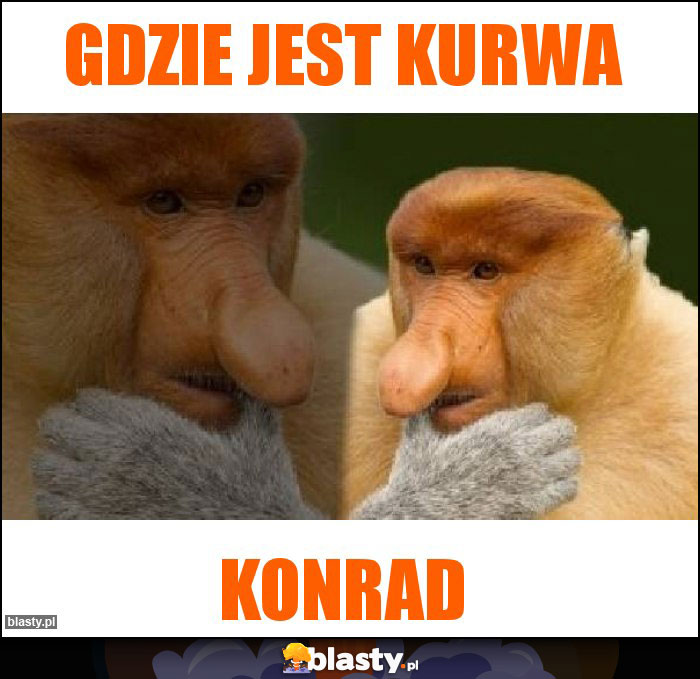 Gdzie jest kurwa