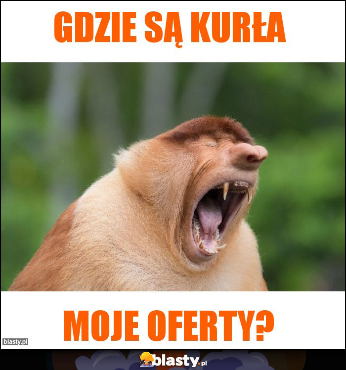 Gdzie są KURŁA