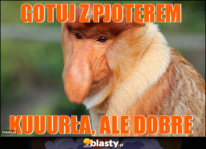 Gotuj z pjoterem