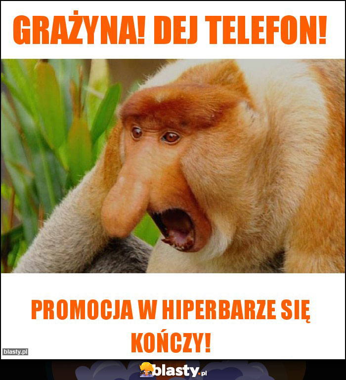 Grażyna! Dej telefon!