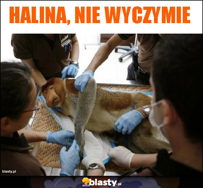 halina, nie wyczymie