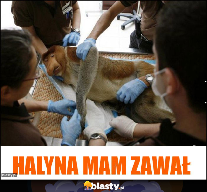 Halyna mam zawał