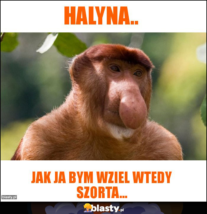 Halyna..