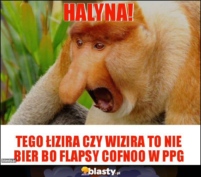 Halyna!