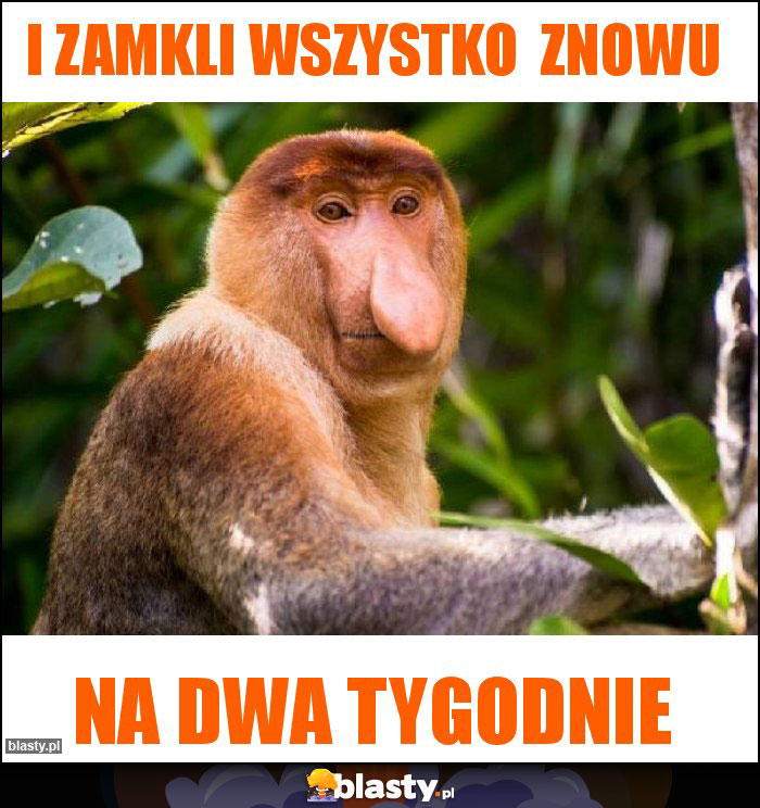 I zamkli wszystko  znowu