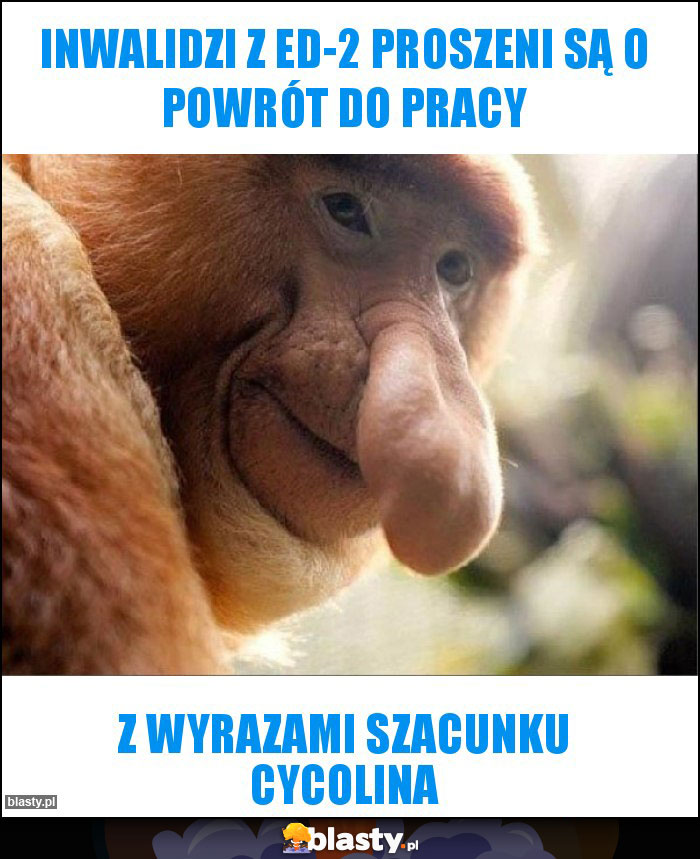 inwalidzi z ed-2 proszeni są o powrót do pracy